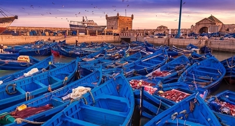 1-day-trip-from-marrakech-to-essaouira