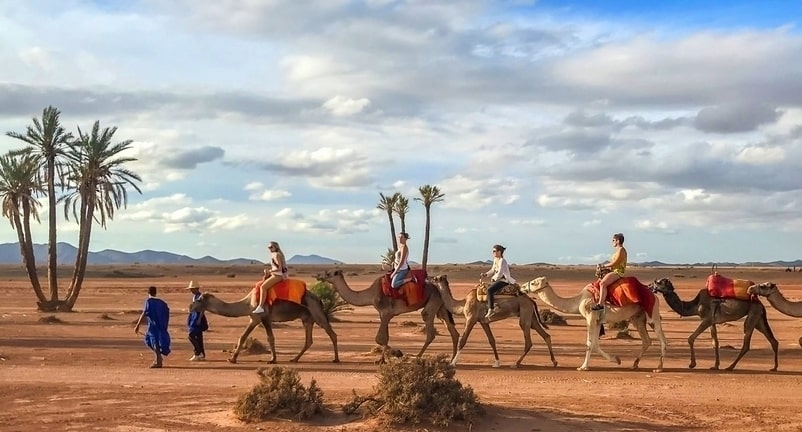 camel-ride-in-marrakech