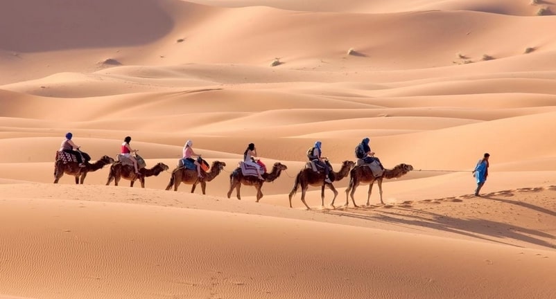 ifri-tours-camel-ride-in-desert