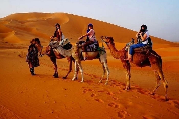 ifri-tours-camel-ride-in-desert